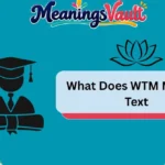 What Does WTM Mean in Text